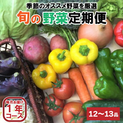 【1年間定期便】 野菜 詰め合わせ 産地直送 セット (12～13品程度) あわ地区 旬 の 野菜 やさい ベジタブル キット 季節野菜 高知 須崎 国産 人気 12ヶ月 毎月 お届け AWA9000人気 ランキング 食品 お楽しみ バラエティ おすすめ 12回