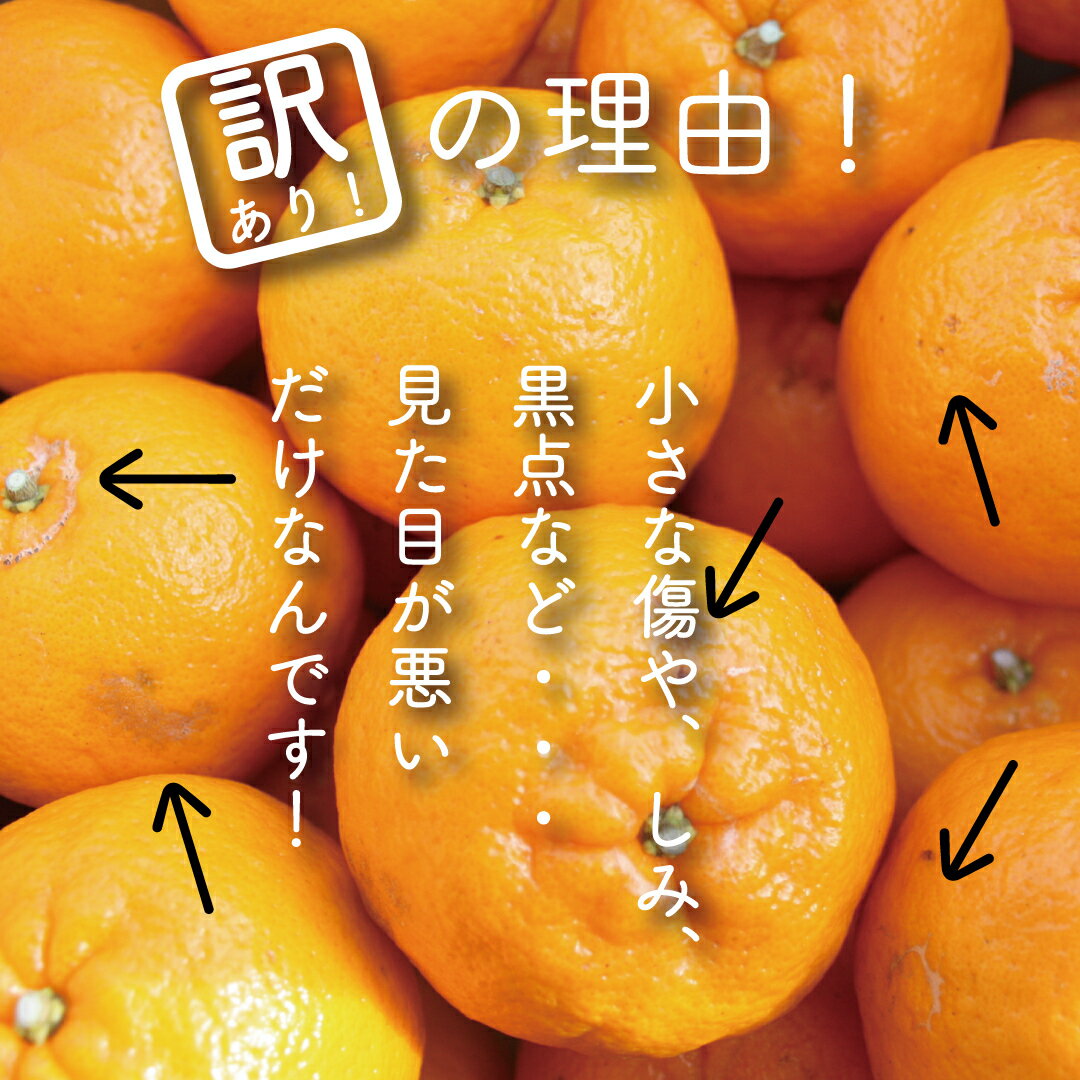 【ふるさと納税】 早期予約開始 1月下旬より順次発送 訳あり ぽんかん 5kg サイズ混合 柑橘 みかん 蜜柑 家庭用 高知県 須崎市 フルーツ 果物 ふるさと納税 ふるさと納税 ぽんかん