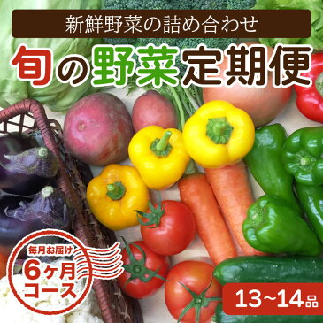 【ふるさと納税】定期便 野菜 6回 13～14品前後 6か月 詰め合わせ セット 毎月お届け 半年間 高知県 須崎市 トマト 人参 タマネギ ブロッコリー ほうれん草 白菜 キャベツ レタス 大根 サツマイモ オクラ ししとう にんにく なす キャベツ 里芋 サツマイモ