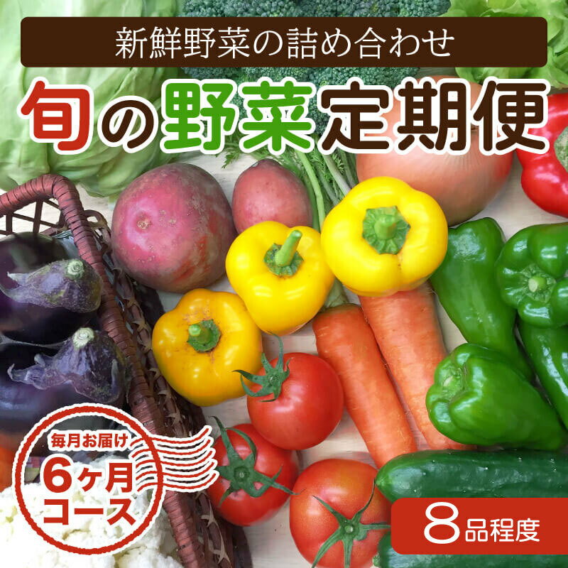 定期便 野菜 6回7~8品程度 6か月 詰め合わせ セット 毎月お届け 半年間 高知県 須崎市人気 ランキング 食品 お楽しみ バラエティ おすすめ