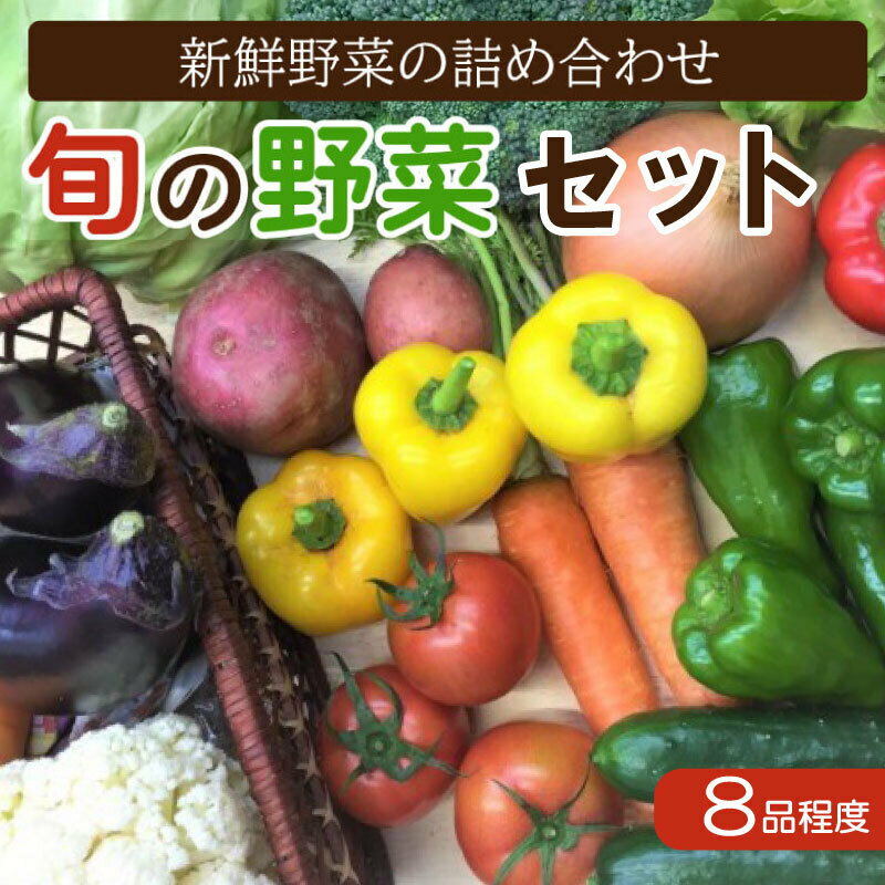 【ふるさと納税】 野菜 セット 8品 旬 野菜の詰め合わせ おたのしみ 新鮮 高知 須崎 トマト 人参 タマネギ ブロッコリー ほうれん草 白菜 キャベツ レタス 大根 サツマイモ オクラ ししとう にんにく なす キャベツ 里芋 サツマイモ･･･