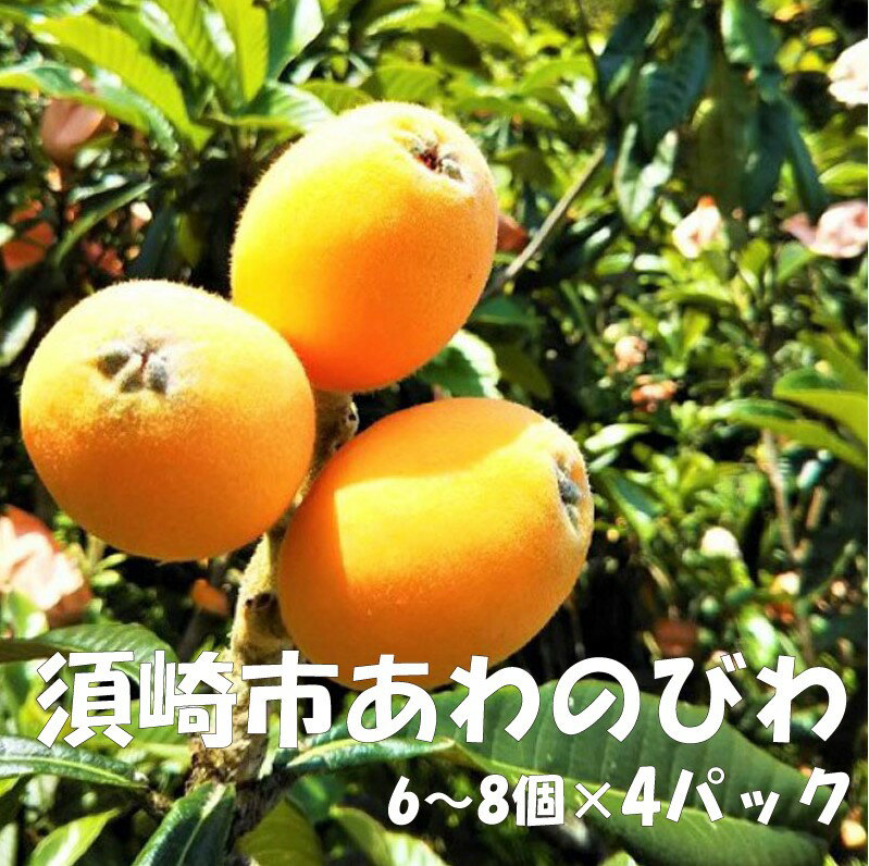 びわ フルーツ 果物 おすすめ 6 〜 8 個 × 4 パック 旬 果実 ギフト 須崎市 枇杷 期間限定 季節 高知 高知県 安和