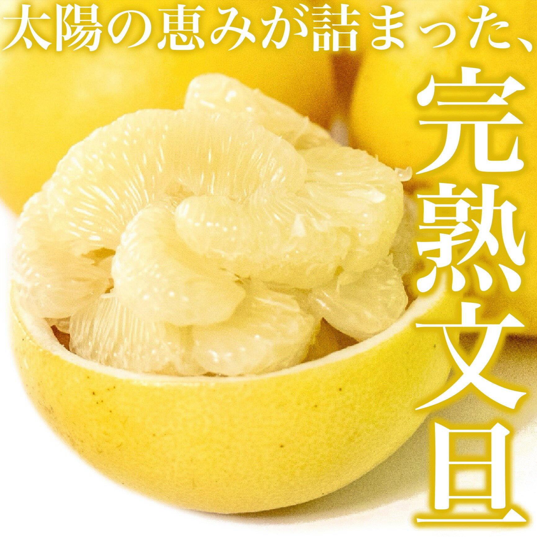 【ふるさと納税】 早期予約受付開始 文旦 訳あり 10kg あわ地区 訳あり 家庭用 10kg 【2月中旬より順次配送】 高知県産 柑橘 フルーツ 文旦 ぶんたん ブンタン 果物 ふるさと納税 文旦 みかん 蜜柑 柑橘 産地直送 期間限定 季節限定 訳あり品 高知県 須崎市 AWA010_x