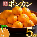 【ふるさと納税】早期予約開始 1月下旬より順次発送 ポンカン 5kg 秀品 あわ地区ポンカン 2026年度 収穫分 柑橘 フルーツ みかん 産地直送 熟成 送料無料 高知県 須崎市