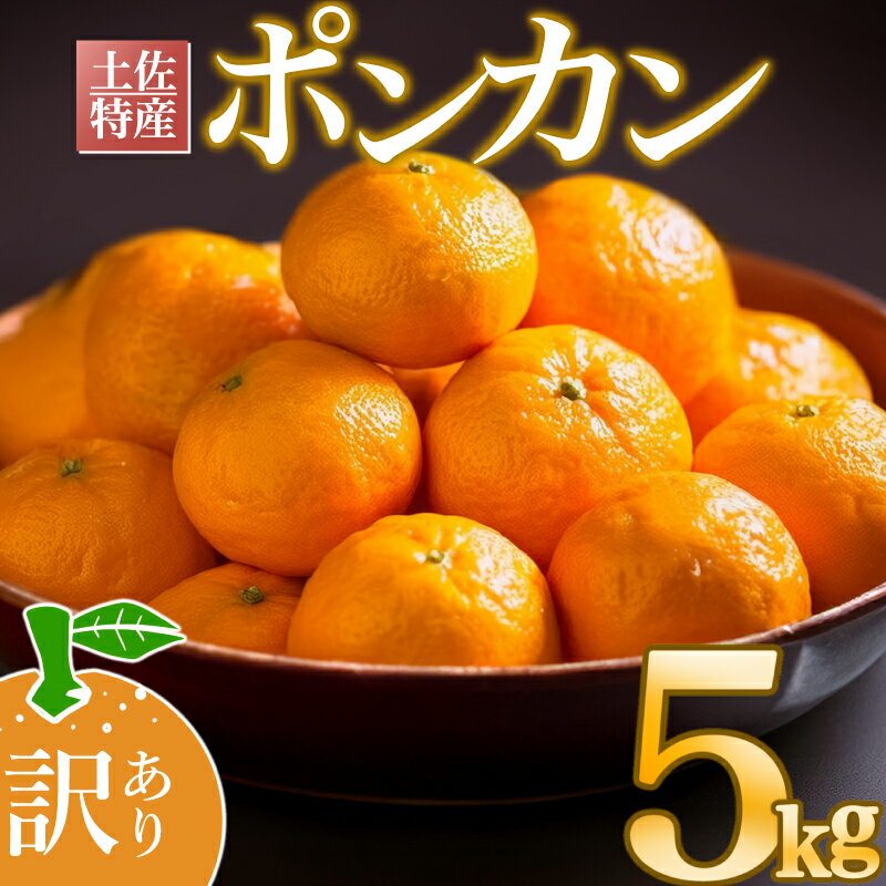【ふるさと納税】 早期予約開始 1月下旬より順次発送 訳あり ぽんかん 5kg サイズ混合 柑橘 みかん 蜜柑 家庭用 高知県 須崎市 フルーツ 果物 ふるさと...