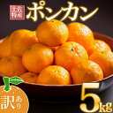 【ふるさと納税】早期予約開始 1月下旬より順次発送 訳あり ぽんかん 5kg 2026年度分 サイズ混合 柑橘 みかん 蜜柑 家庭用 高知県 須崎市 フルーツ 果物 ふるさと納税みかん ふるさと納税ぽんかん
