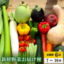 【ふるさと納税】 【早期予約】 全 6回 6ヶ月 半年 定期便 季節 旬の 野菜 7 〜 10品 詰め合わせ セット 年末年始限定 早期予約 期間限定 高知県 ...