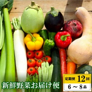 【ふるさと納税】 【早期予約】 全 12回 12ヶ月 定期便 季節 旬の 野菜 6 ~ 8品 詰め合わせ セット 年末年始限定 早期予約 期間限定 高知県 須崎市人気 ランキング 食品 お楽しみ バラエティ おすすめ