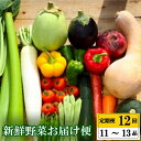 【ふるさと納税】 【早期予約】 全 12回 12ヶ月 定期便 季節 旬の 野菜 11 ~ 13品 詰め合わせ セット 年末年始限定 早期予約 期間限定 高知県 須崎市人気 ランキング 食品 お楽しみ バラエティ おすすめ