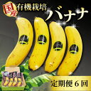 【ふるさと納税】 【毎月6回定期便】 有機栽培 高級 バナナ 500g 以上 6回 国産 高知初 糖度 25度以上 果物 フルーツ 高知県 須崎市