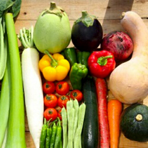 【ふるさと納税】【限定150セット】毎月の野菜便り『高知の野菜12回お届け便』♪♪