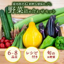 【ふるさと納税】 新鮮野菜セット 6〜8品目 レシピ付き 詰め合わせ 産地直送 高知県 須崎市 新玉ねぎ そら豆 スナップえんどう 春キャベツ フルーツトマト ...