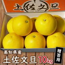 【ふるさと納税】秀品 土佐文旦 10kg 2026年2月より発送 贈答用 高知県産 柑橘 フルーツ 文旦 ぶんたん ブンタン 果物 みかん 蜜柑 柑橘 産地直送...