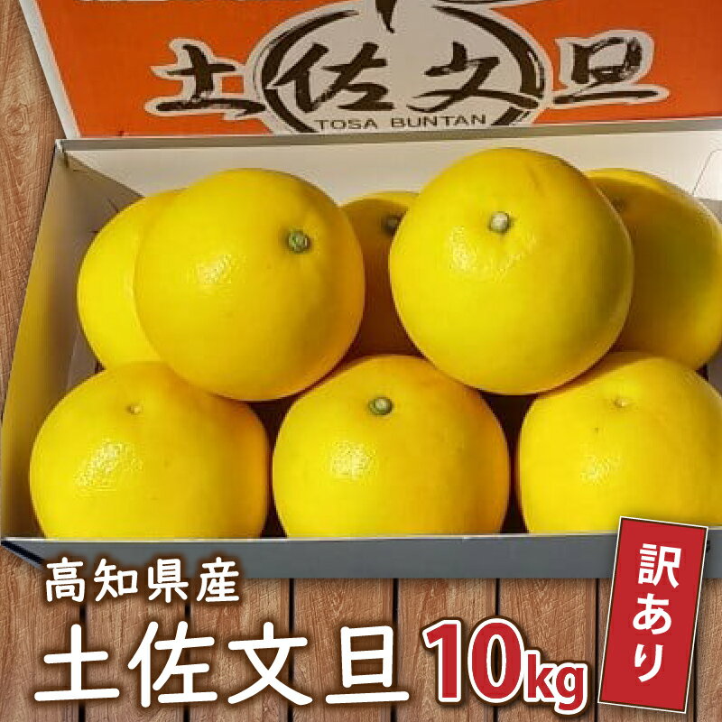 【ふるさと納税】 訳あり 文旦 10kg 家庭用 早期予約 土佐文旦 みかん 柑橘 フルーツ 2025年 2月 より 発送 早期予約 早期 予約 季節限定 期間限定 高知県 須崎市のサムネイル