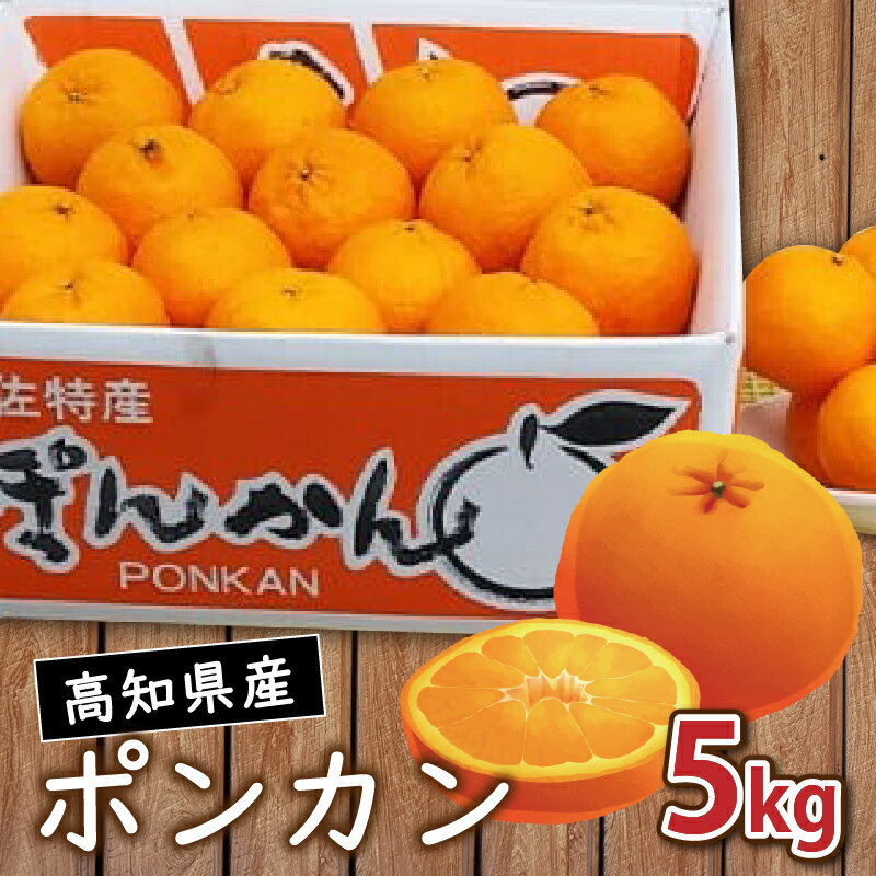 【ふるさと納税】 早期予約 2025年 1月 より 発送 訳あり 家庭用 浦ノ内産 ポンカン 5kg みかん 蜜柑 柑橘 早期 予約 季節限定 期間限定 産地直送 高知県 須崎市のサムネイル