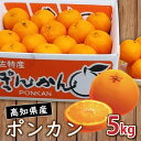 【ふるさと納税】 早期予約 2026年 1月 より 発送 訳あり 家庭用 高知県産 浦ノ内産 ポンカン 5kg おすすめ みかん 蜜柑 柑橘 早期 予約 季節限定 期間限定 産地直送 高知県 須崎市 こだわり