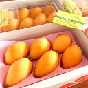 【ふるさと納税】ヤマデ農園 びわ4パック 平成31年度収穫分...