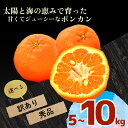 【ふるさと納税】 ポンカン 5kg 10kg 訳あり 秀品 選べる 早期受付 2026年1月中旬より順次発送 安和ポンカン 産地直送 柑橘 贈答 ギフト フルーツ 果物 くだもの 果実 みかん デザート 贅沢 ふるさと納税 高知県 須崎市 YN