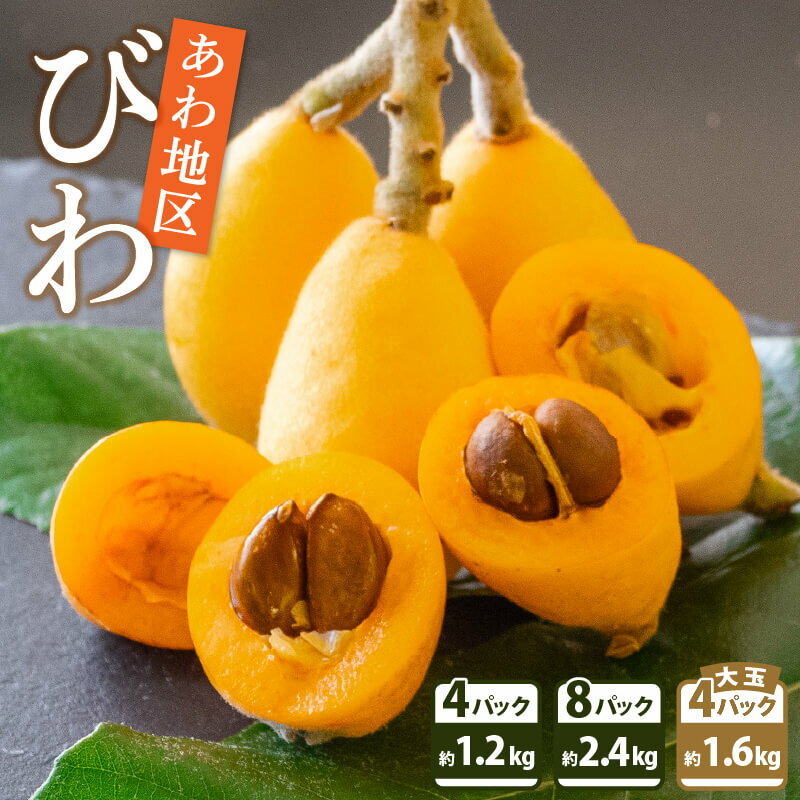 数量限定 びわ フルーツ 果物 おすすめ 約 1.2kg ~ 2.4kg 旬 果実 ギフト 枇杷 期間限定 高知県 須崎市 高級 季節 初夏 高知 贈答 父の日 大玉 果実 くだもの