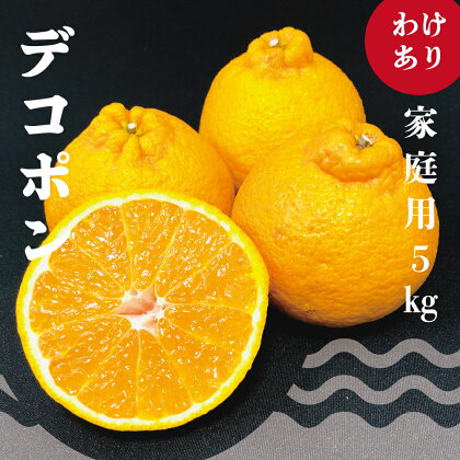 訳あり デコポン 柑橘王国 土佐の不知火(デコポン) 不知火 Lサイズ以上 混合 5kg 柑橘 みかん フルーツ