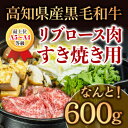 【ふるさと納税】 すき焼き 牛肉 特撰 リブロース肉 600g 土佐 黒毛 和牛【最上位等級】 高知県 須崎市 TM007