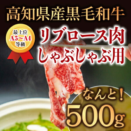  しゃぶしゃぶ 牛肉 特撰 リブロース肉 500g 土佐 黒毛 和牛 TM008