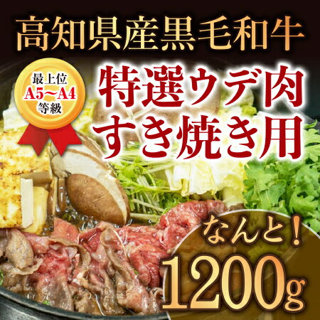 すき焼き 牛肉 1200g 土佐 黒毛 和牛 特撰 ウデ肉 須崎 【最上位等級】 父の日 TM011