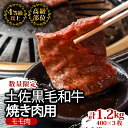 【ふるさと納税】 土佐 黒毛 和牛 焼肉用1.2kg ( 600g × 2パック ) | 特撰 モモ肉 A4 A5 1kg 以上 贅沢 焼き肉 やきにく 小分け 冷凍 国産 ブランド 和牛 牛肉 大人気 ギフト おすすめ ランキング 限定 BBQ バーベキュー アウトドア 高知県 須崎 ふるさと納税和牛 TM012