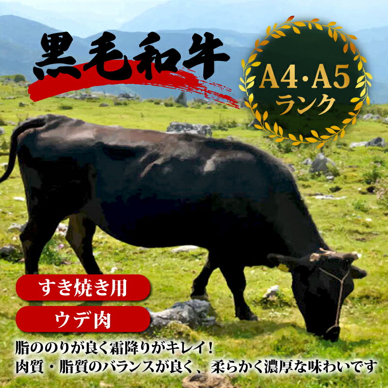 【ふるさと納税】訳アリ！博多和牛 しゃぶしゃぶすき焼き用 5kg (肩ロース肉・肩バラ・モモ肉) | 福岡県 筑前町 福岡 九州 返礼品 楽天ふるさと 納税 平和記念館 資料 資料集 おすすめ 送料無料