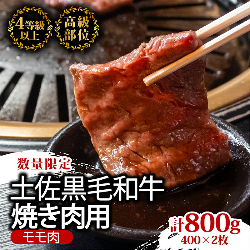 楽天高知県須崎市【ふるさと納税】 土佐 黒毛 和牛 焼肉用 800g （ 400g × 2パック ） | 特撰 モモ肉 最上位等級 A4 A5 贅沢 焼き肉 やきにく 小分け 冷凍 国産 ブランド 和牛 牛肉 大人気 ギフト ランキング 限定 BBQ バーベキュー キャンプ アウトドア 高知県 須崎 ふるさと納税和牛 TM005