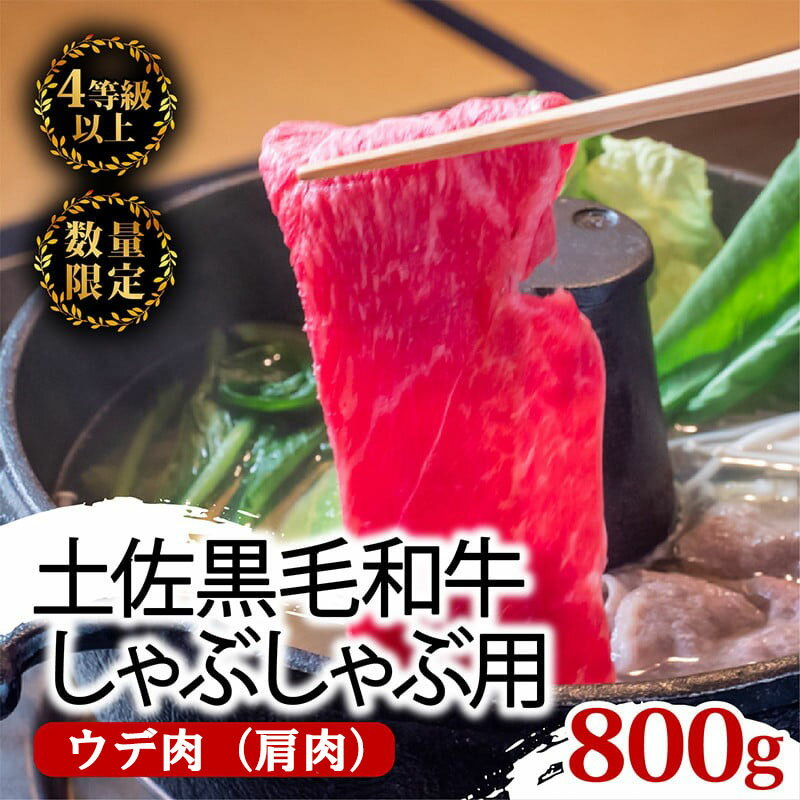 【ふるさと納税】 土佐 黒毛 和牛 しゃぶしゃぶ用 800g ( 400g × 2パック ) | 特撰 ウデ肉 肩肉 最上位等級 A4 A5 最高ランク 贅沢 しゃぶしゃぶ 鍋 スライス 焼肉用 小分け 冷凍 国産 牛肉 高知県 須崎 ふるさと納税和牛 TM006