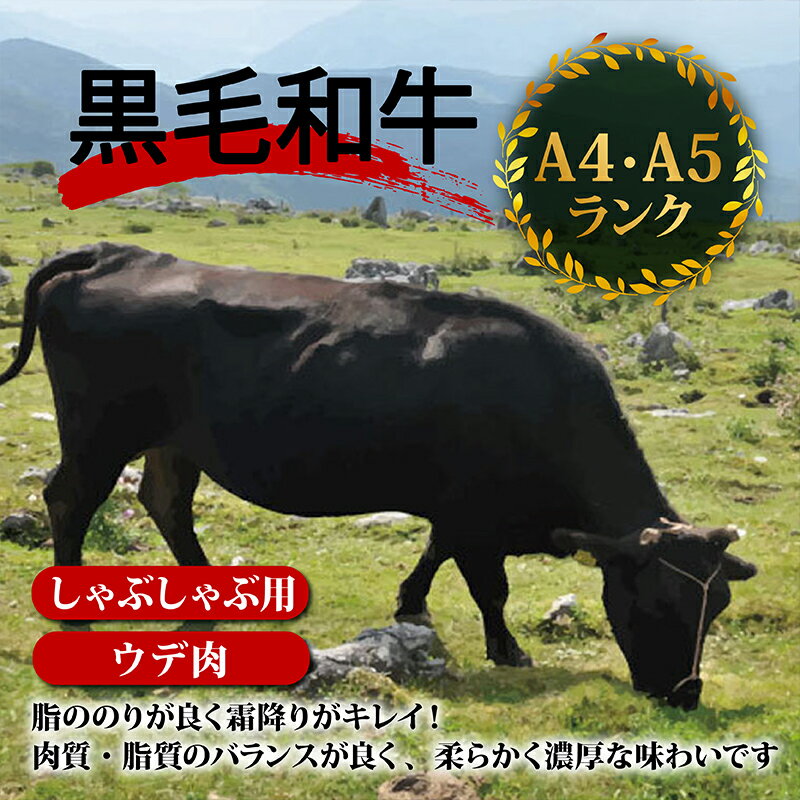 【ふるさと納税】 【定期便6回】土佐黒毛和牛ウデ肉しゃぶしゃぶ用 計4.8kg（800g×6ヶ月連続お届け) 3Aコース | 特撰 ウデ肉 肩肉 最上位等級 A4 A5 最高ランク 贅沢 しゃぶしゃぶ　鍋 スライス 焼肉用 小分け 冷凍 国産 牛肉 高知県 須崎 TM55000