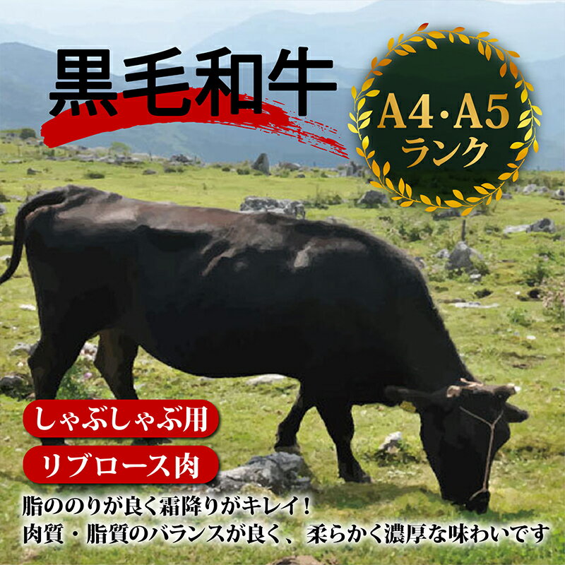 【ふるさと納税】 【定期便4回】土佐 黒毛 和牛 しゃぶしゃぶ用 計3.2kg（800g×4ヶ月連続お届け)4Bコース| 特撰 リブロース肉 最上位等級 A4 A5 最高ランク 贅沢 しゃぶしゃぶ 鍋 スライス 焼肉用 小分け 冷凍 国産 牛肉 高知県 須崎 TM82000