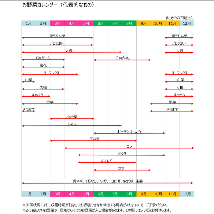 【ふるさと納税】 数量限定 定期便 年 6回 旬 野菜 詰め合わせ セット 6 ～ 7品 限定80セット やさい 送料無料 NK4000人気 ランキング 食品 お楽しみ バラエティ おすすめ 6ヶ月