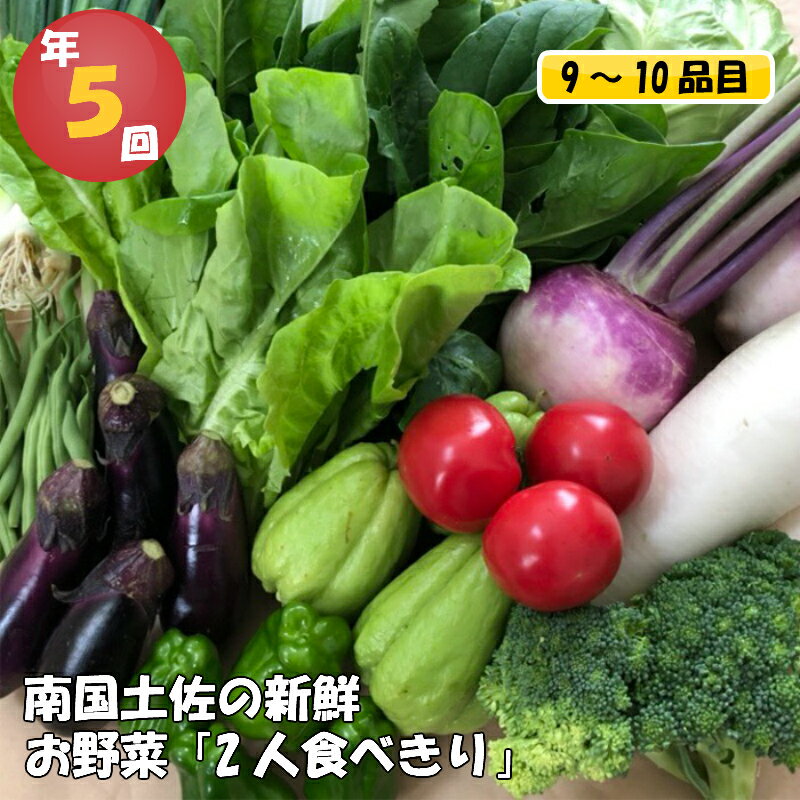 【ふるさと納税】 数量限定 定期便 野菜 5回 9～10種類程度 2人暮らしにぴったり 南国土佐のお野菜食...