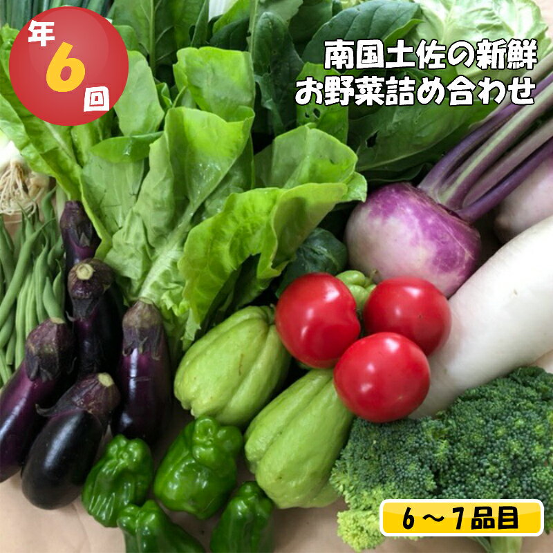 【ふるさと納税】 数量限定 定期便 年 6回 旬 野菜 詰め合わせ セット 6 ～ 7品 限定80セット やさい ...