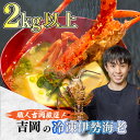 28位! 口コミ数「1件」評価「5」 朝穫れ 天然 伊勢海老 2kg 以上 伊勢海老 伊勢エビ 伊勢 海老 エビ イセエビ 生きたまま発送 刺身 焼き物 お味噌汁 鍋 ボイル ･･･ 