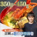 【ふるさと納税】 訳あり 朝獲れ 伊勢海老 350g ～ 450...