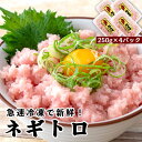 【ふるさと納税】 ネギトロ 1kg 冷凍 鮪 小分けパック 