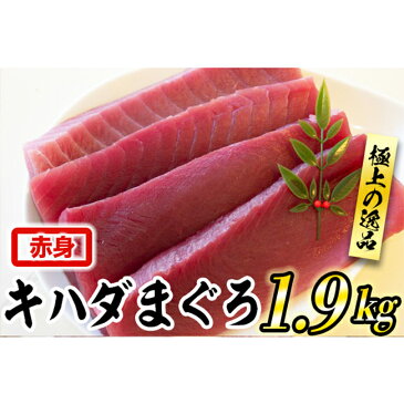 【ふるさと納税】訳あり キハダマグロ　赤身　1.9kg　マグロ　家庭用　コロナ　緊急支援　生産者応援