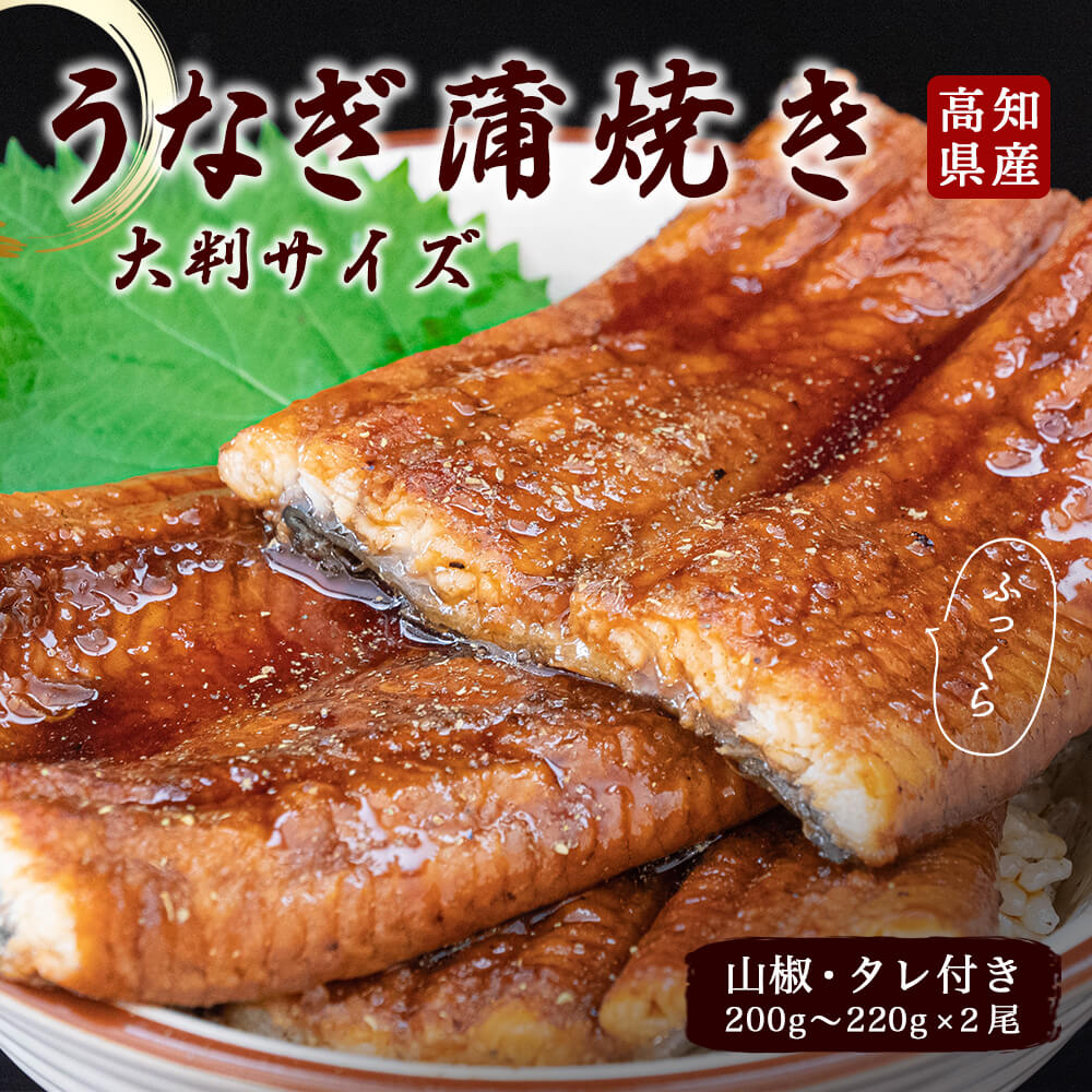 【ふるさと納税】 うなぎ 蒲焼 200g×2尾 高知県産 鰻 うなぎの蒲焼き タレ付 冷凍 うな丼 うな重 高知県 須崎市