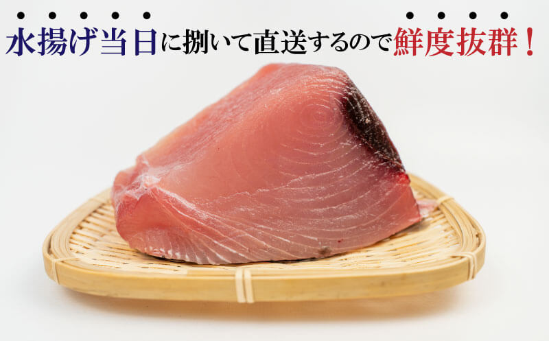 【ふるさと納税】 マグロ 2kg 国産 天然 鮪 刺身 炙り ネギトロ 漬け ステーキ 用 大容量 ブロック 産地直送 高知 須崎