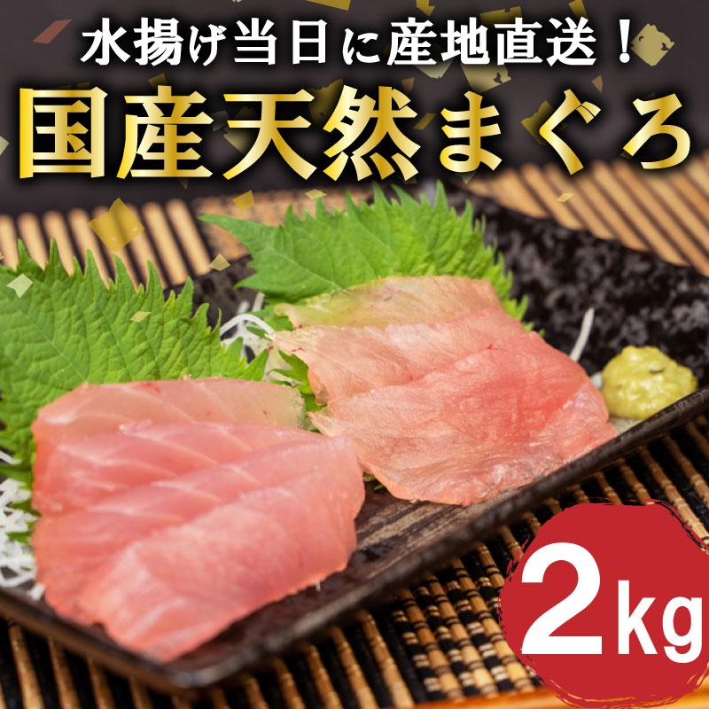 【ふるさと納税】 【12月より順次発送】 マグロ 2kg 国産 天然 鮪 刺身 刺し身 炙り ネギトロ 漬け ステーキ 用 大容量 ブロック 産地直送 高知 須...