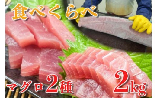 【ふるさと納税】 訳あり キハダマグロ 赤身 1kg メバチマグロ ハランボ 1kg 食べ比べ セット ふるさと納税まぐろ ふるさと納税マグロ
