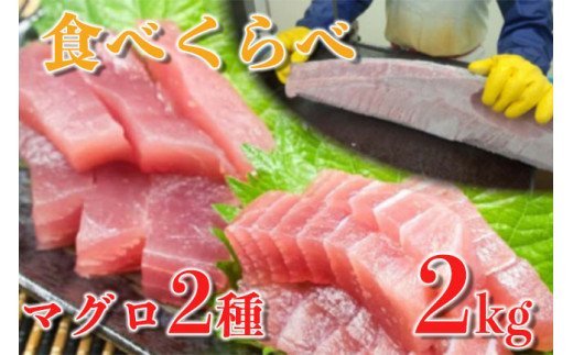 【ふるさと納税】 訳あり キハダマグロ 赤身 1kg メバ...