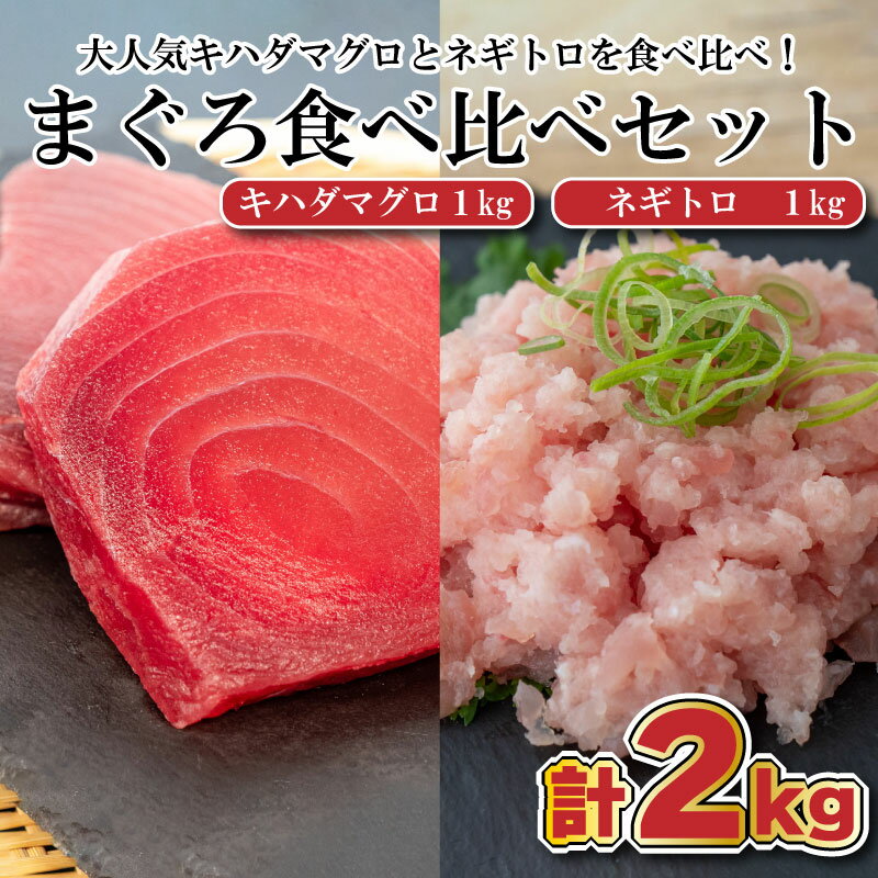 【ふるさと納税】 まぐろ 食べ比べ (赤身 ネギトロ) 小分け 真空パック 冷凍 マグロ 鮪 マグロのたたき 高知県 須崎市