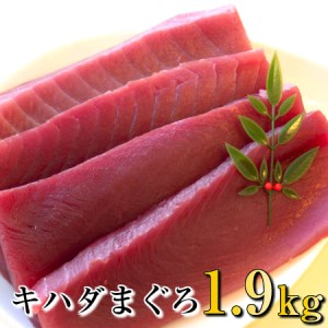 【ふるさと納税】 訳あり マグロ 赤身 1.9kg キハダマグロ 刺身 漬けまぐろ ステーキ 冷凍 家庭用 高...