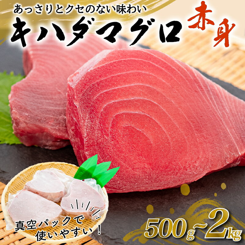 訳あり マグロ 赤身 500g〜2kg キハダマグロ ( 刺身 漬けまぐろ ステーキ 冷凍 家庭用 ふるさと納税マグロ ふるさと納税まぐろ 選べる 高知県 須崎市 )