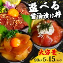 【ふるさと納税】 選べる 漬け丼 90g 5パック 10パック 15パック セット 醤油 キハダマグロ カジキマグロ イカ マグロ 漁師飯 特製 新鮮 個包装 小分け 手軽 時短 便利 海鮮丼 丼 どんぶり お手軽 冷凍 高知県 須崎市