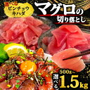 【ふるさと納税】 訳あり マグロ 切り落とし 500g〜1.5kg キハダマグロ ビンチョウマグロ 選べる 種類 容量 不揃い パック 海鮮 丼 海鮮丼 高知県...